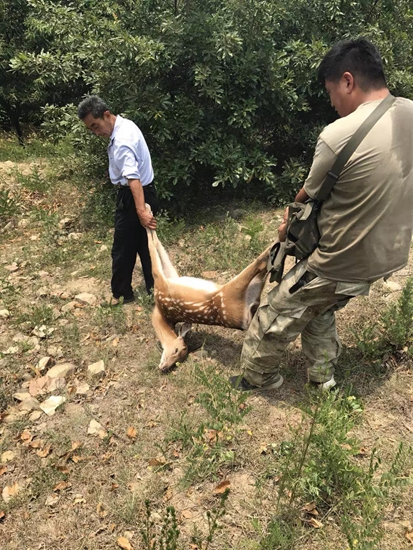 来黑虎山狩猎场 体验惬意中的速度与激情