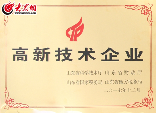 山东省国家税务局,山东省地方税务局联合颁发的高新技术企业证书