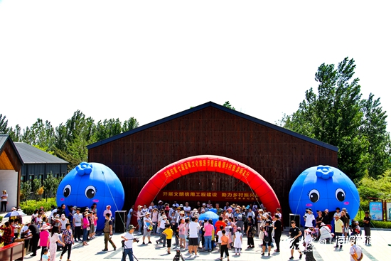 莓香小镇 美好生活 日照市第七届蓝莓文化旅游节开幕！