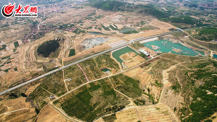 莒县要闻据丹凤山旅游度假区负责人郑伟介绍,丹凤山景区内有400亩优质