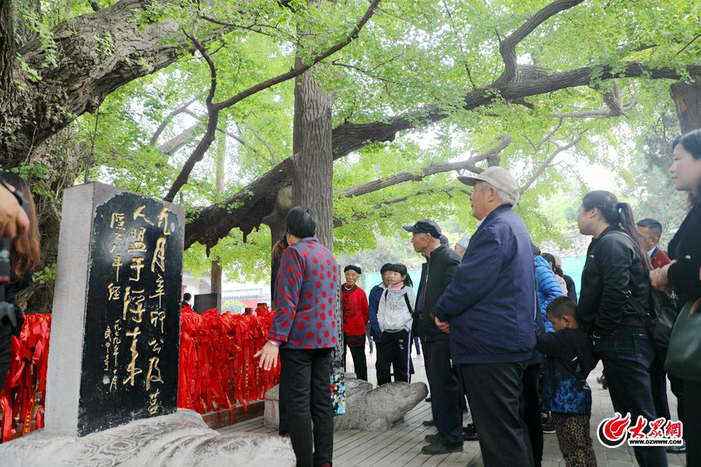 老人在千年银杏树下合影留恋 讲解员为老人讲解典故 老人们在银杏树下系祈福带 两位老人合影留恋 老人在定林寺内撞钟 游览浮来山风景区的老人 大众网日照10月14日讯(记者 李令涵)人到浮来福自来,常到浮来福长在。10月14日上午,孝暖全城 爱在重阳中央公馆助力九九重阳节旅游公益活动在莒县浮来山风景区生态广场隆重举行。 启动仪式之后,8对古稀老人在浮来山风景区工作人员的引领下,首先游览了定林寺,并贴心的派出一位讲解员,为老人们进行讲解。踏入定林寺,寺内的千年银杏树吸引了老人们的目光,这棵银杏树树