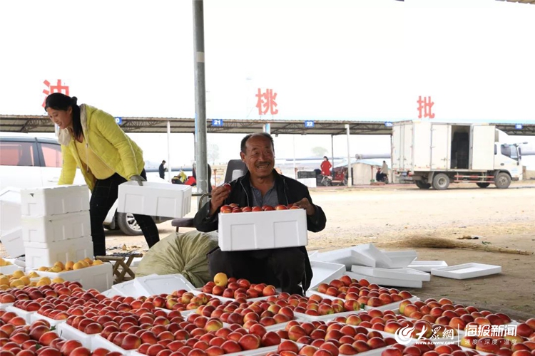 莒县果庄镇:扶贫大棚里的油桃红了 乡亲们笑了