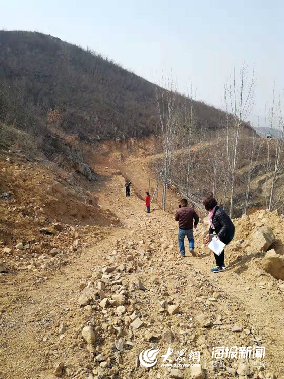 莒县峤山镇:扶贫项目助力群众迈向康庄"大道"