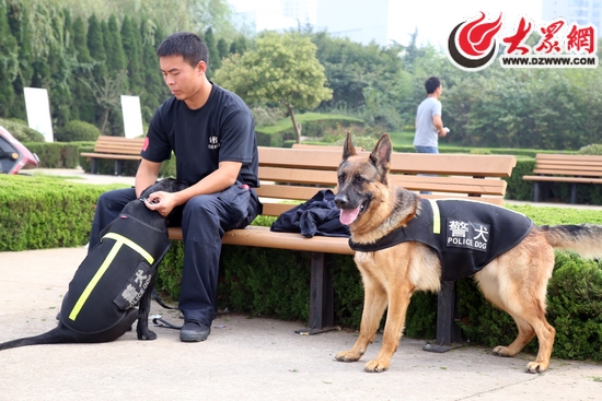 黑色的拉布拉多是一条搜爆犬,只有六个月大,今天它没有表演项目,出来