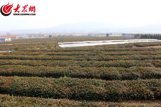 点击浏览下一张