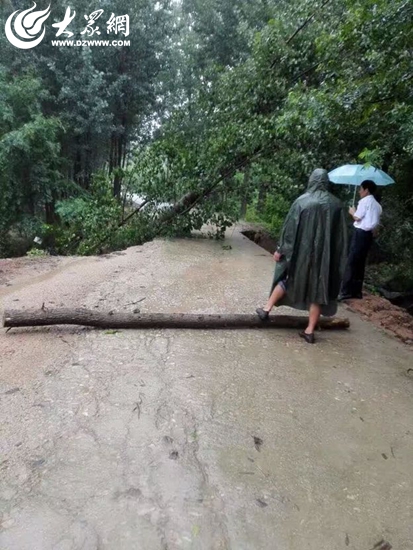 日照市樵业子村人口_日照市南湖镇大北湖村