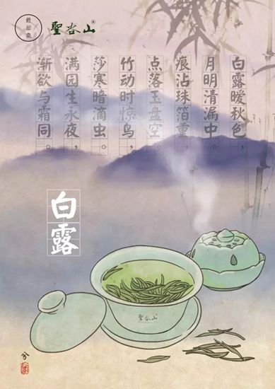 白露最节气日照茶与竹的故事插画版