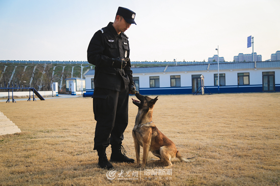 日照警犬训练基地又来新成员治安防范再添神兵利器