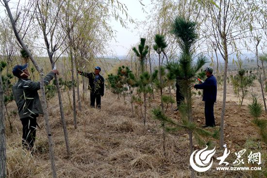 2、附近村民进园打工 2、附近村民进园打工