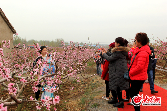 田中余:把田甸园桃花节做大做强 推动乡村旅游蓬勃发展_莒县要闻_大众