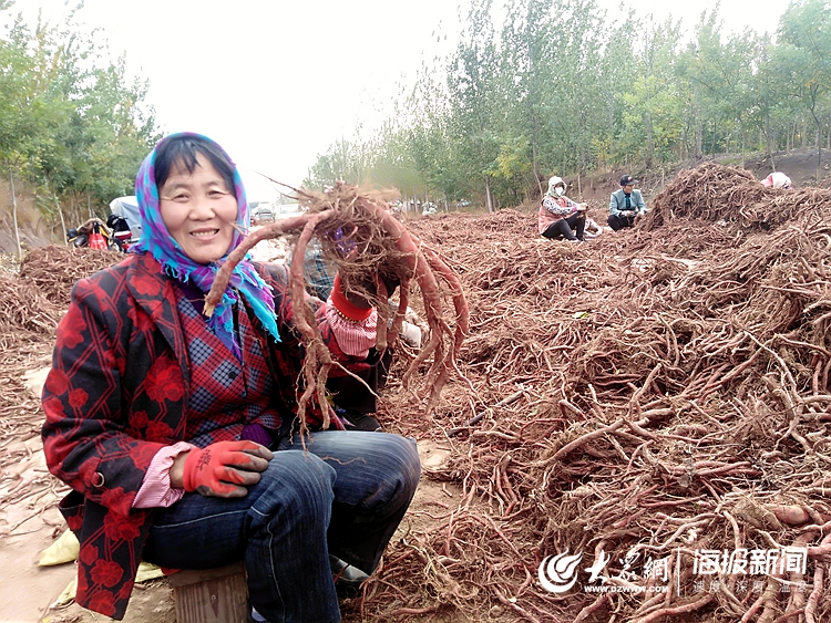 各路商販蜂擁而至,田間地頭,農舍院落