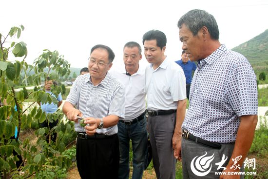 现场分析核桃病虫害 现场分析核桃病虫害