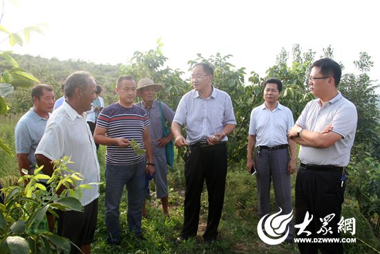 专家与种植户面对面交流 专家与种植户面对面交流