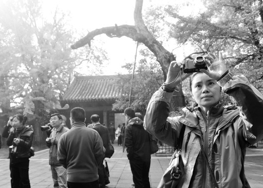 点击浏览下一张 点击浏览下一张