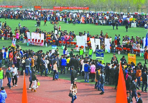 2万余人争抢4000教师岗