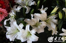 4͸׵İٺϻöˣ׵ˣһЦգš覴ãȾ׳ŮӵУһΪٺϵĵ񶼻ᱻȻڴ.jpg